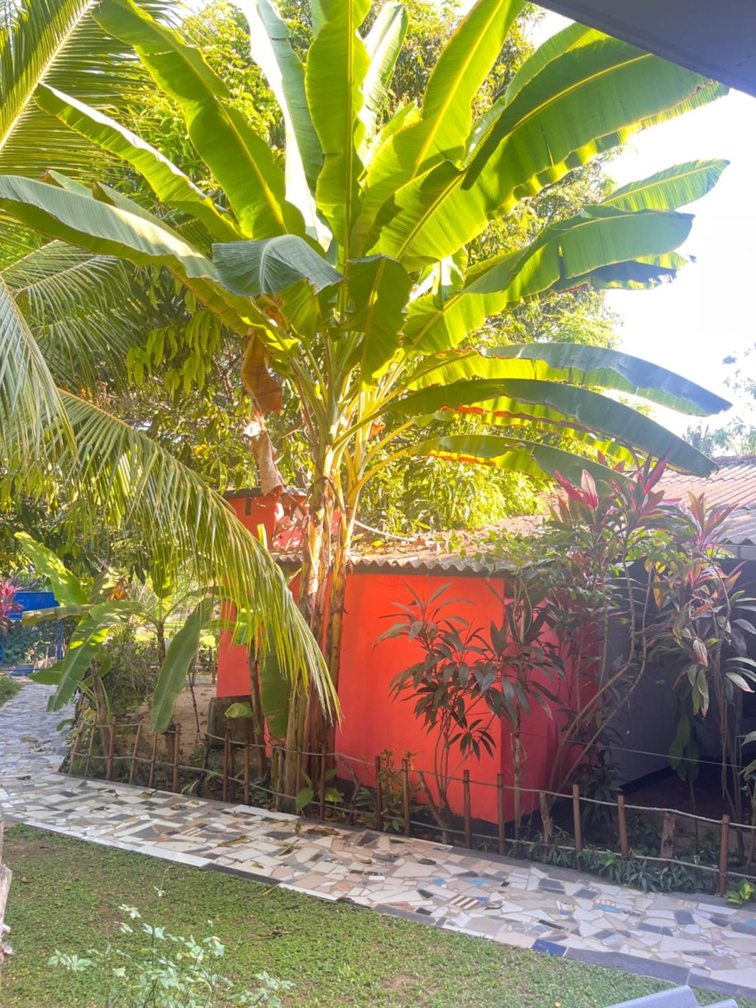 Lobster Inn Trincomalee Exterior foto